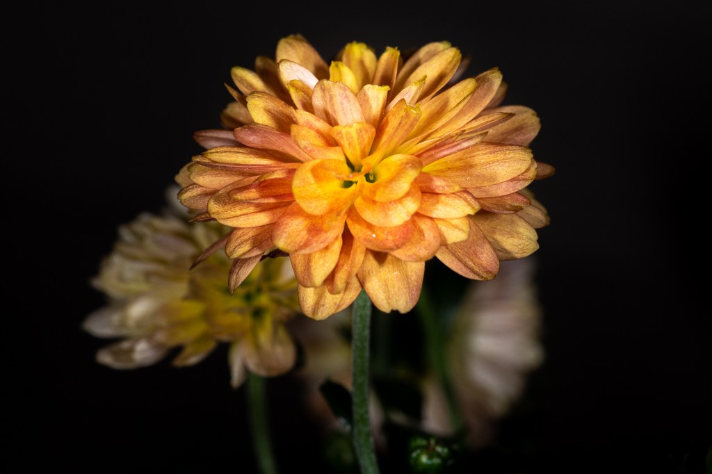 Photographic artist and the&nbsp;student