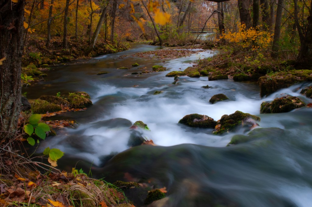 What is the cost of your work