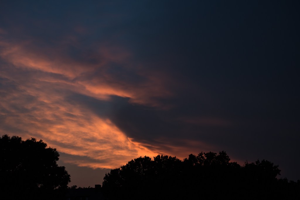 The future of&nbsp;photography