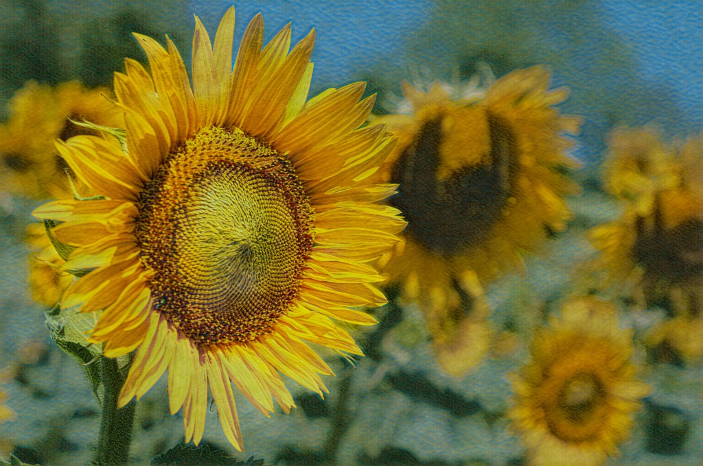 Photography the greatest art&nbsp;form