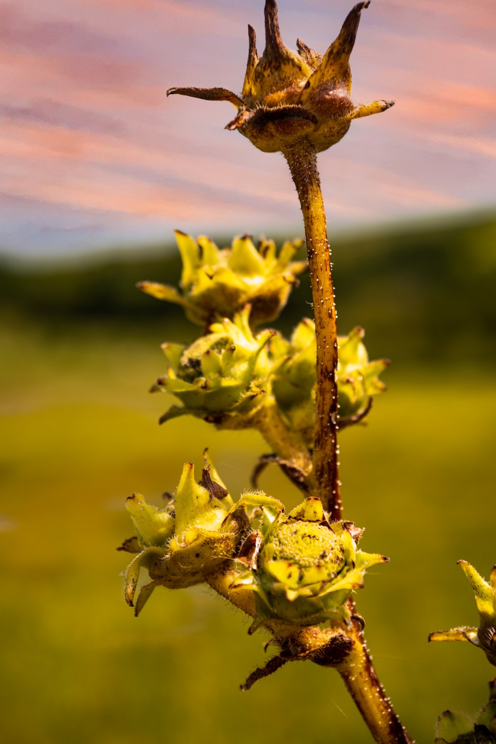 Bad habits are hard to&nbsp;break