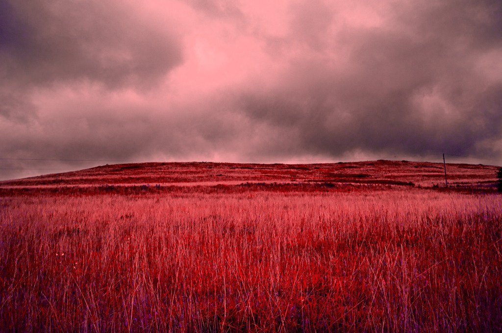 The creativity challenge