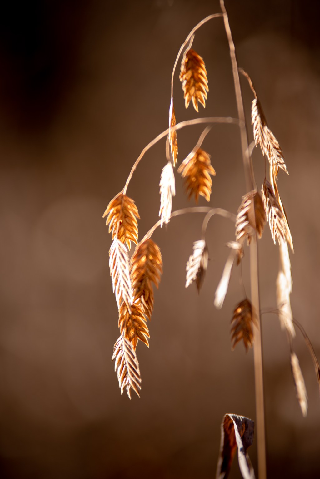 The beauty of the ordinary