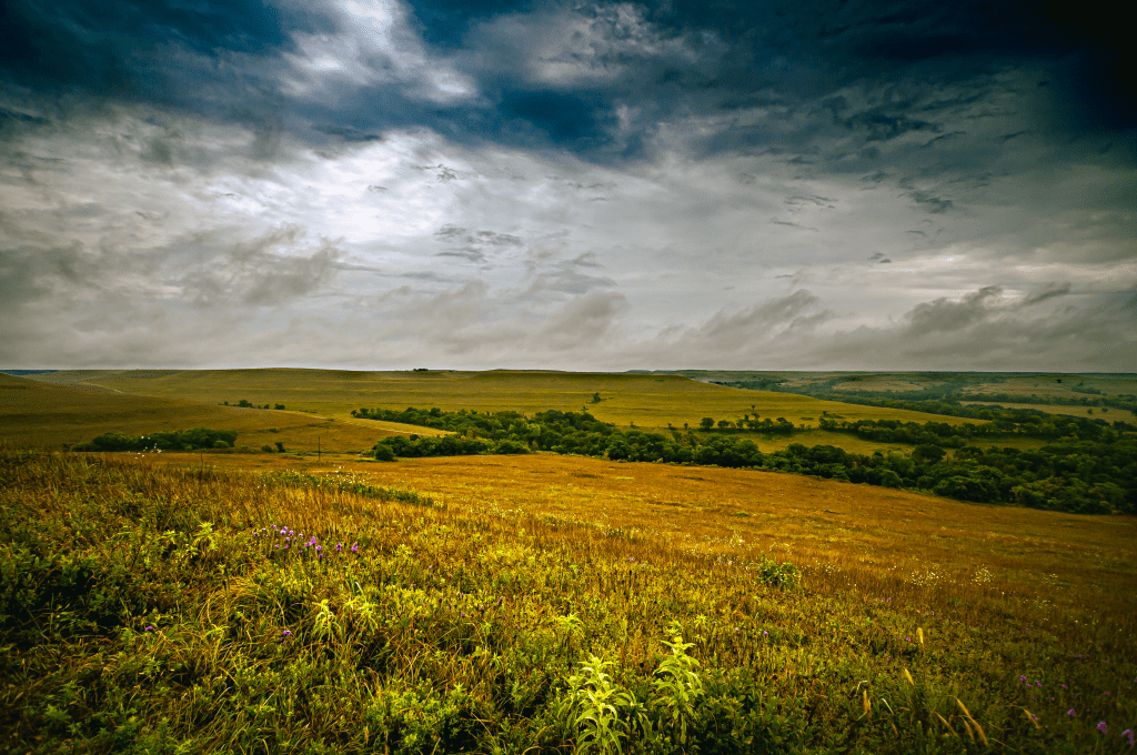 Why Ansel Adams was a&nbsp;master