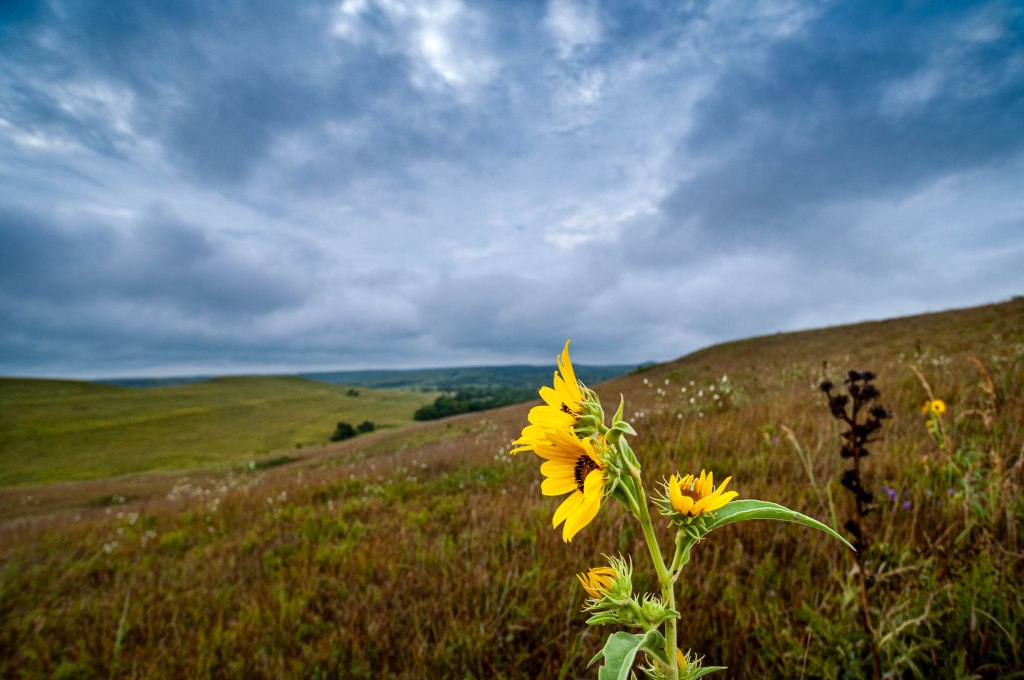 Growth as a photographer