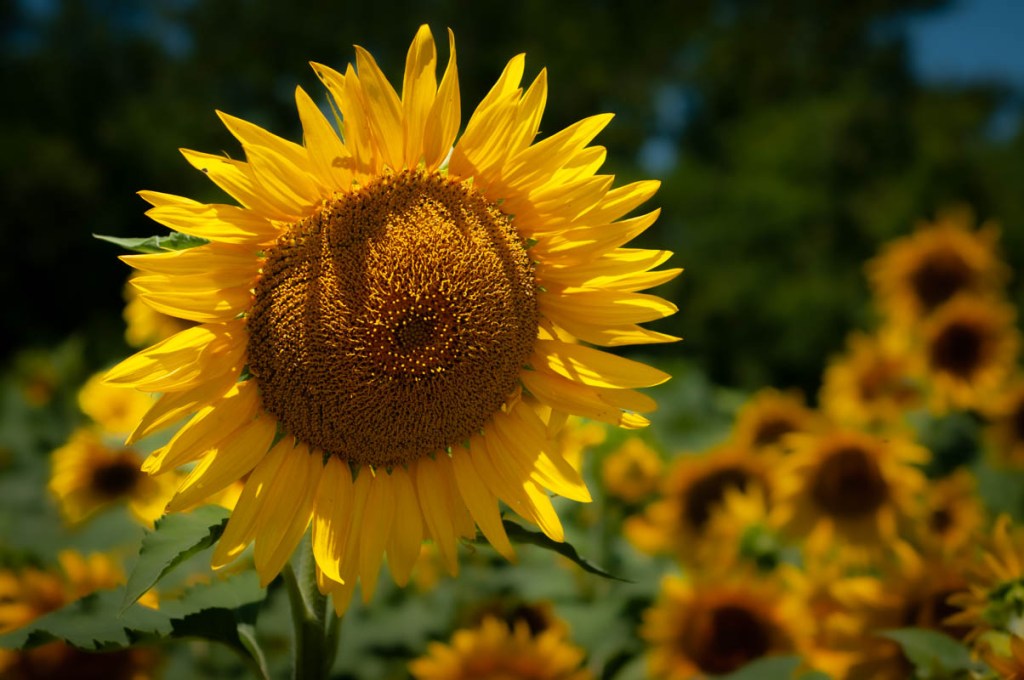 Does it really&nbsp;matter?