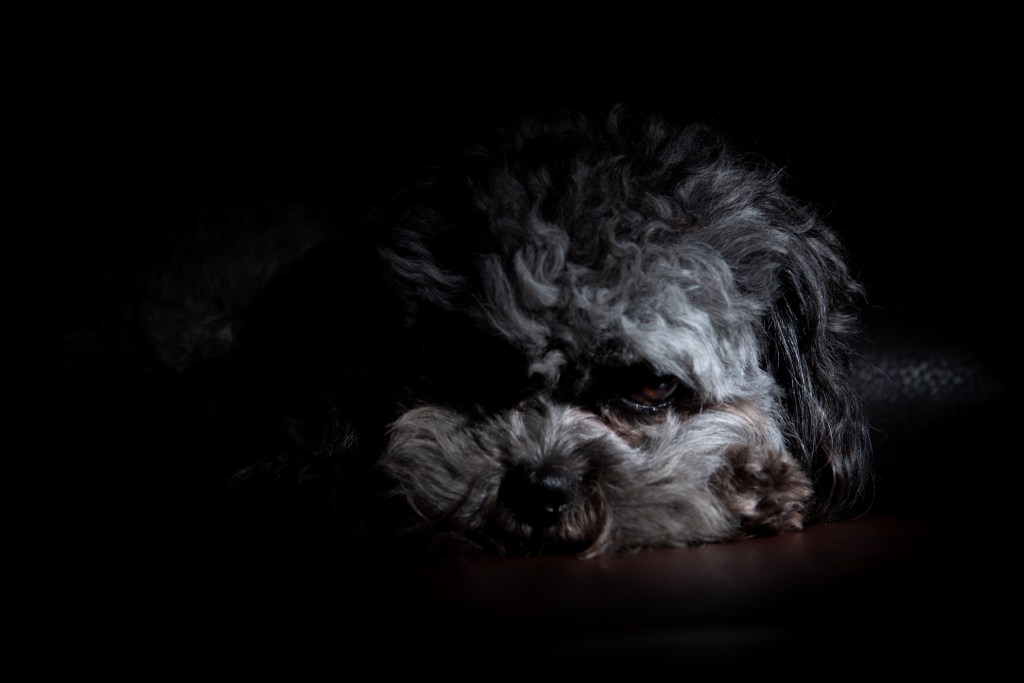 When is good enough, good&nbsp;enough?