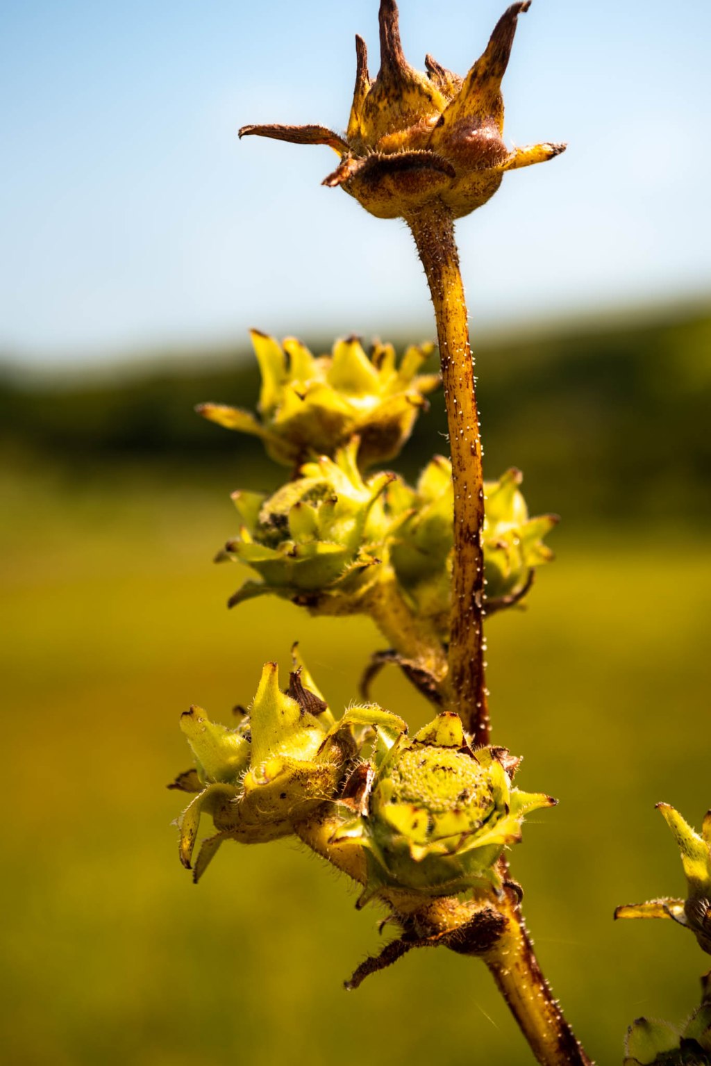 Taking photos of the&nbsp;mundane