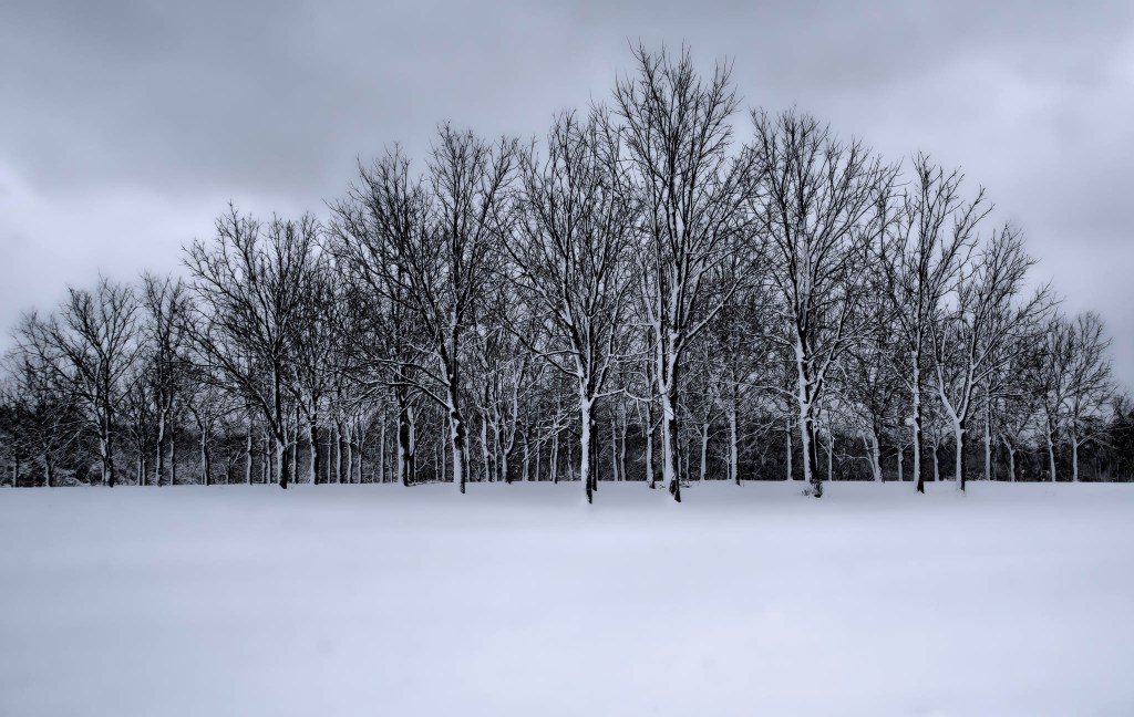 Embracing challenges from your&nbsp;audience