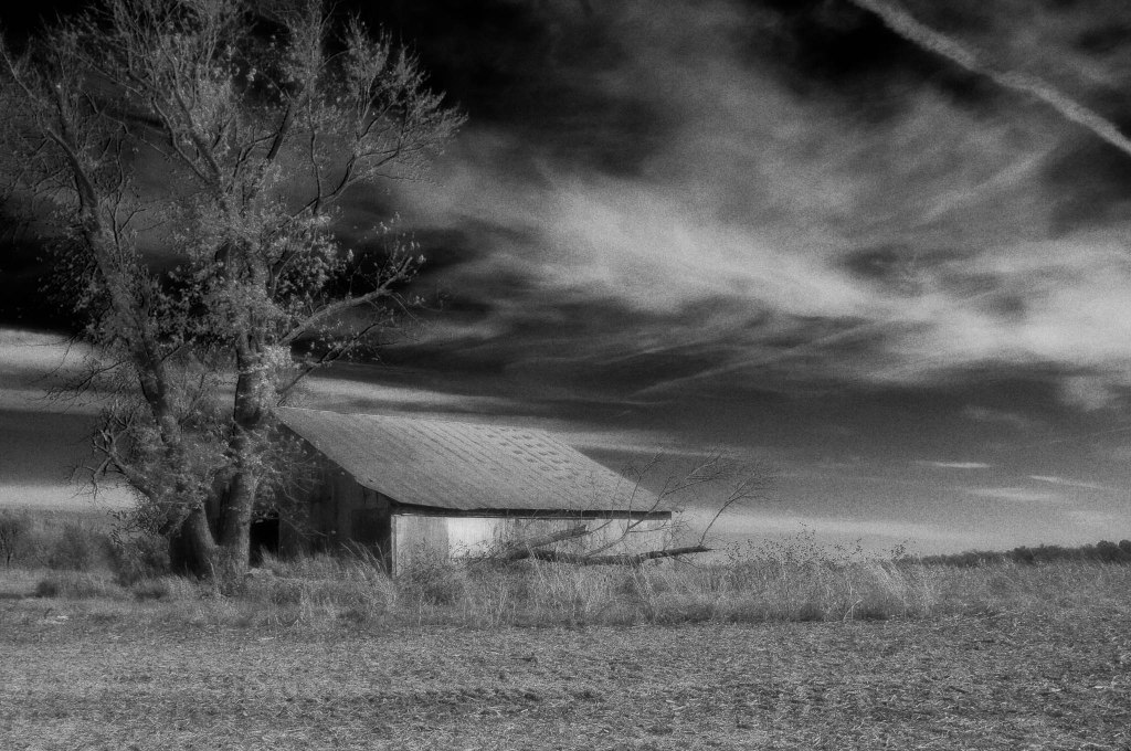 My photo my&nbsp;art