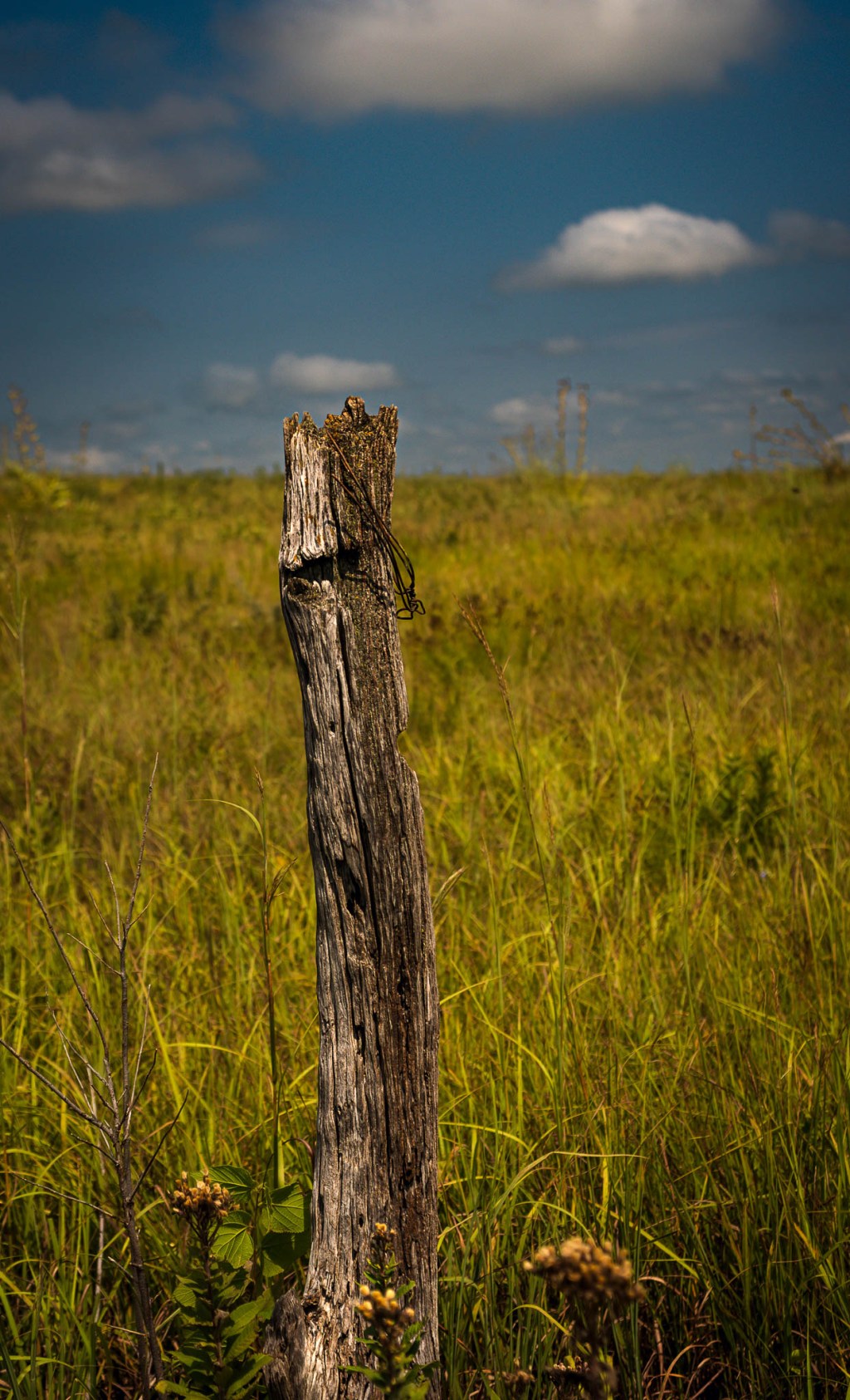 Achieving your personal best in&nbsp;photography