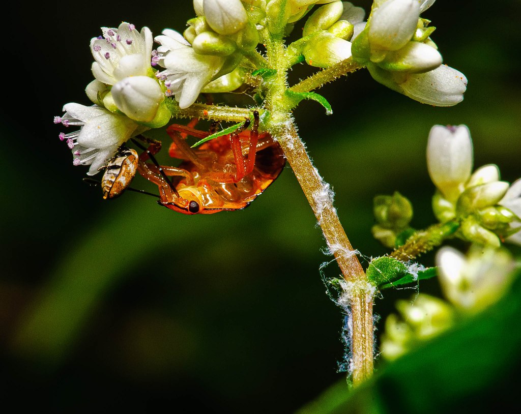 What is your best&nbsp;photograph?