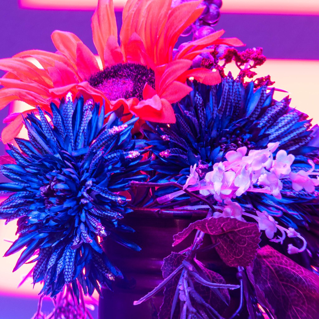 My greatest photography&nbsp;challenge