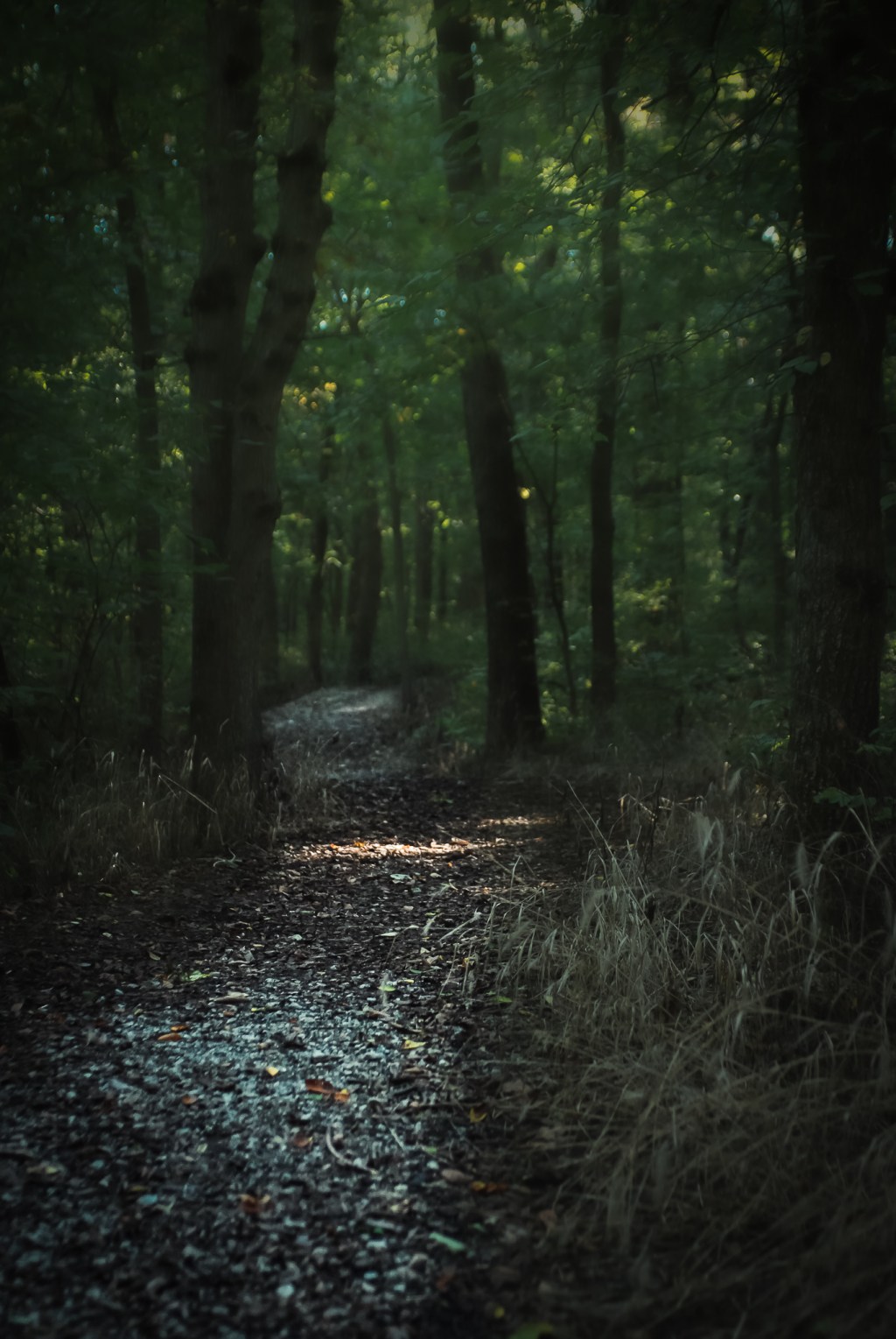 Are you a copycat or an original&nbsp;artist?