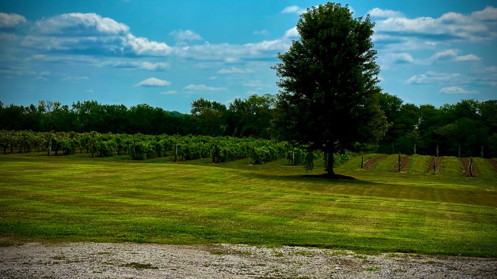 Even photographers need a&nbsp;break