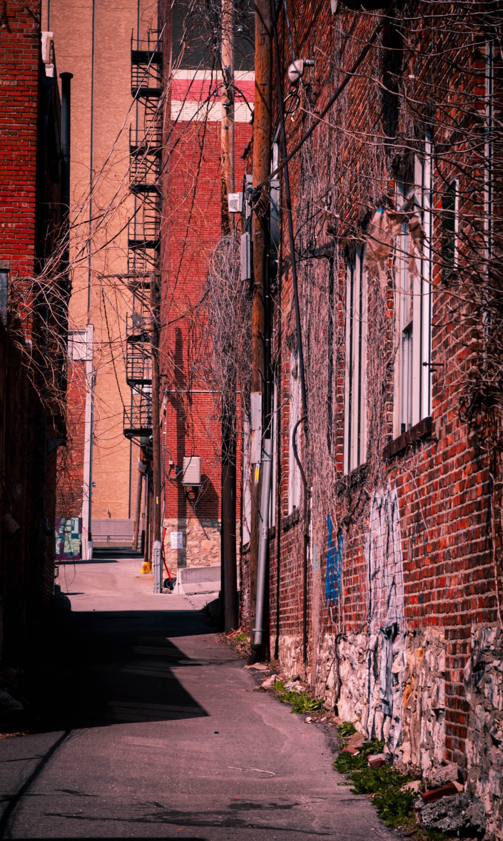 I choose to be a photographic artist not just a&nbsp;photographer