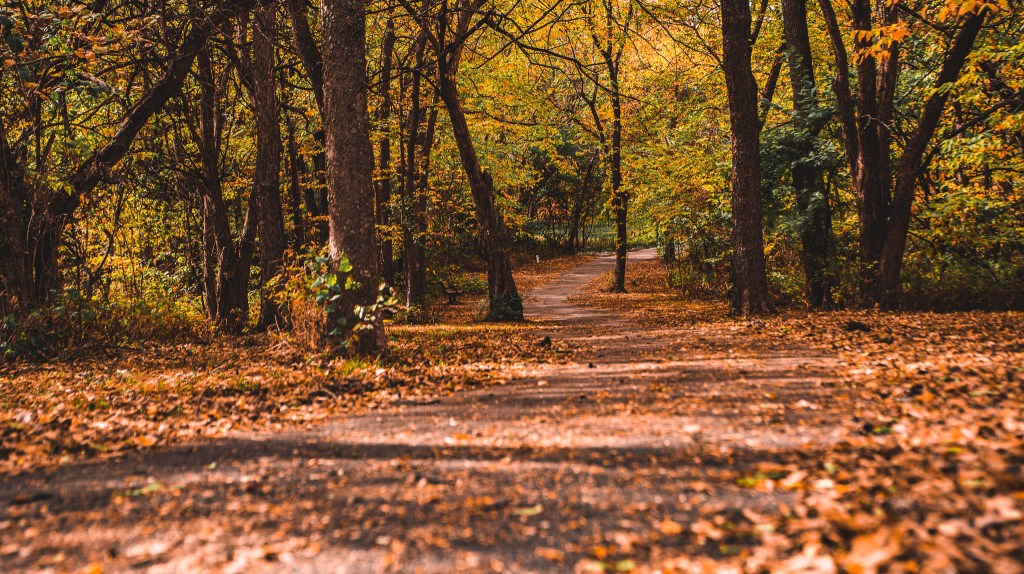 It’s never too late to create