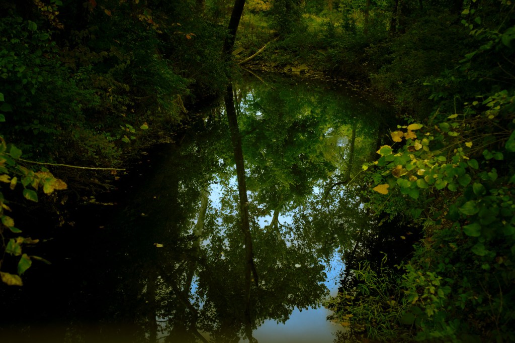 Suburban natural beauty