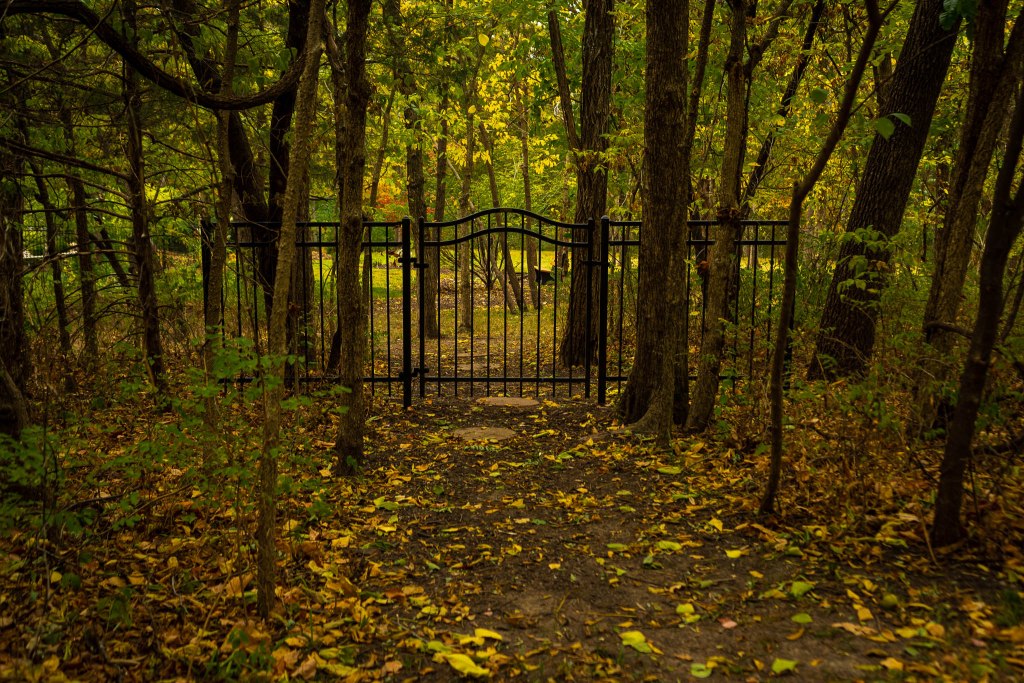 What kind of artist are&nbsp;you?