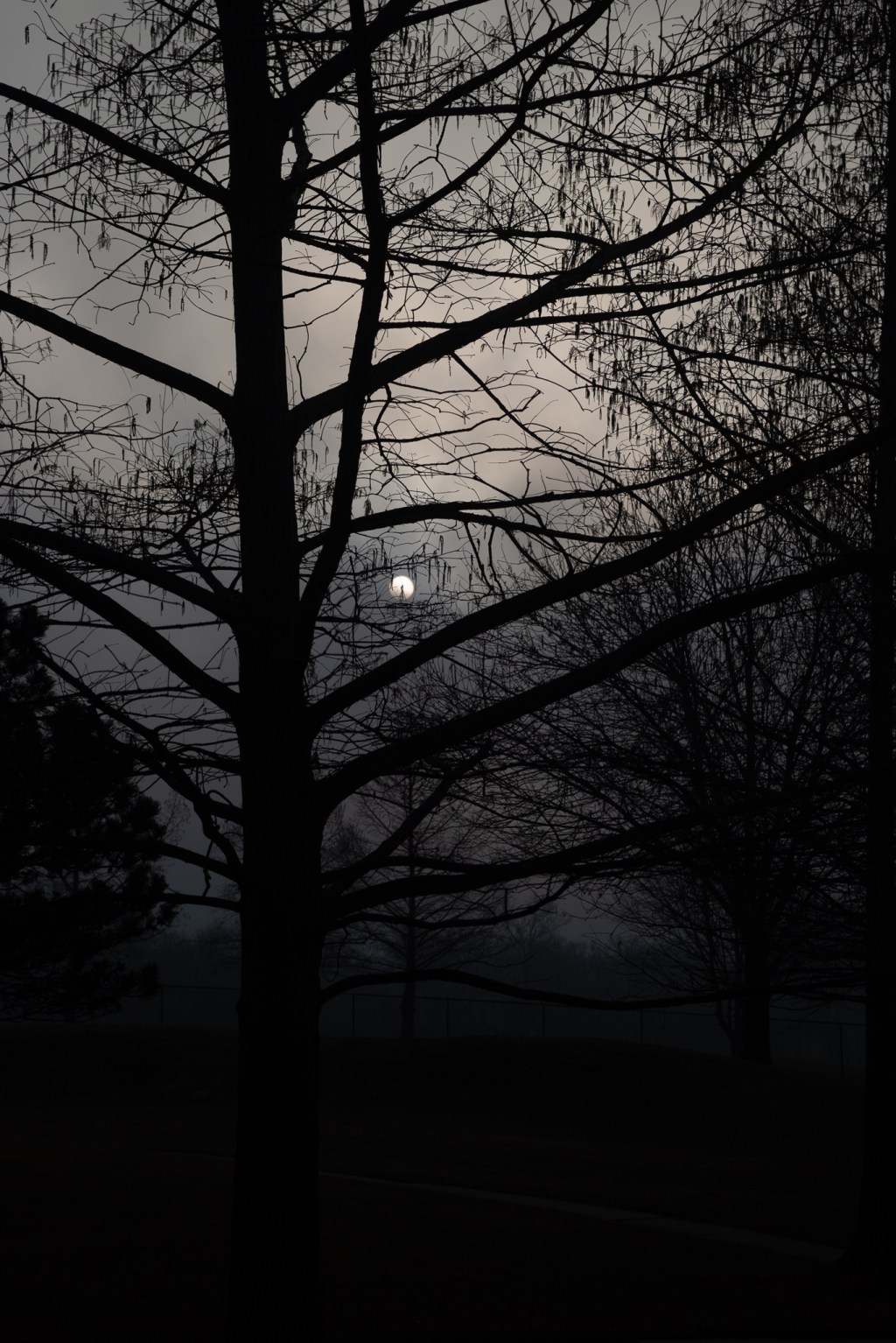 Sometimes art just&nbsp;happens