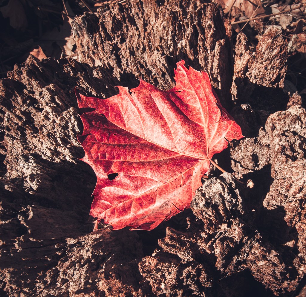 Winter can be a difficult time for landscape&nbsp;photography