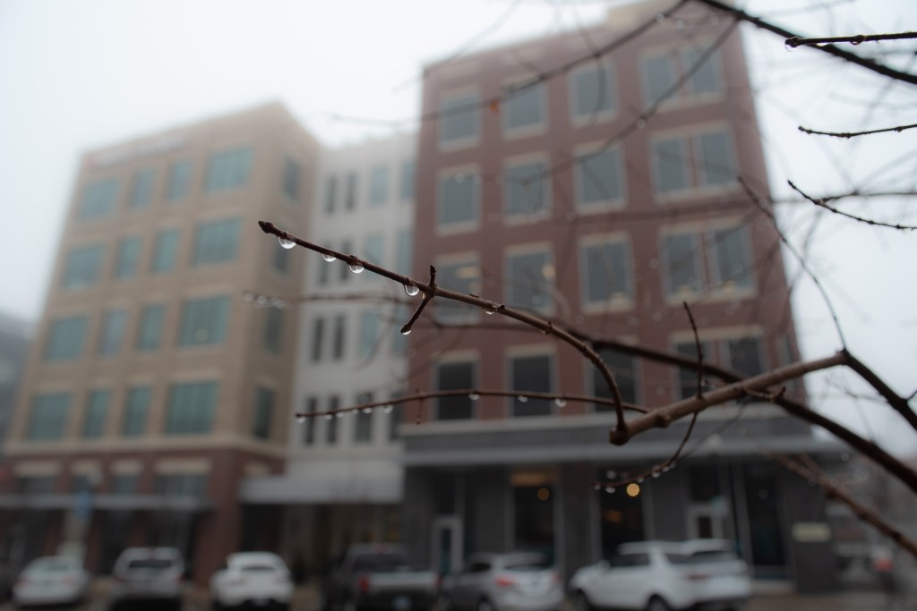 Time spent studying&nbsp;photographs