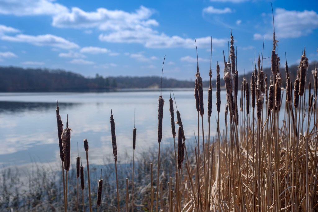 On some photography days, things don’t work&nbsp;out