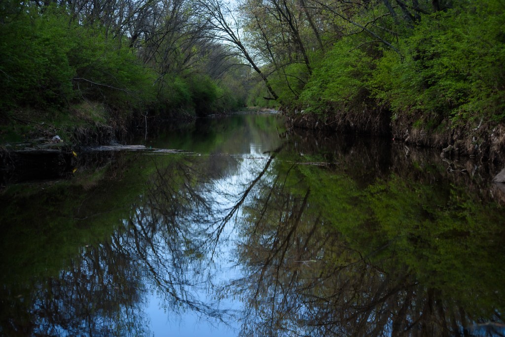 Photography hobby or&nbsp;business?