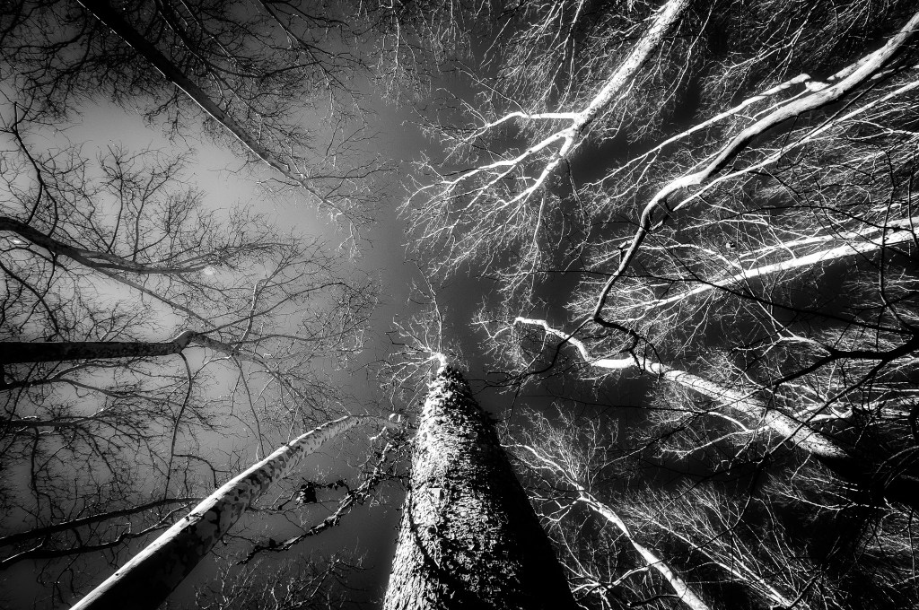 The difference between a photographer and a photographic&nbsp;artist