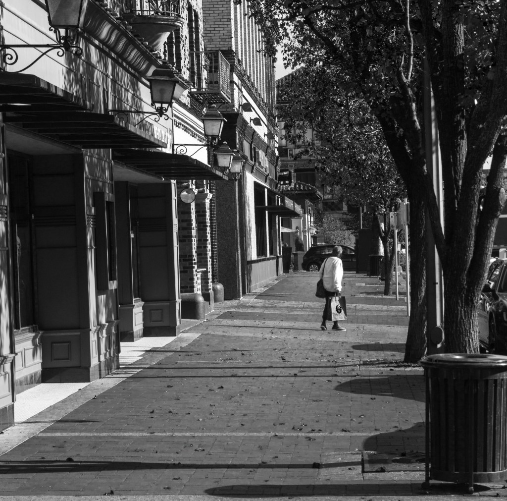 Creating Photographic Art: Capturing Life Through the&nbsp;Lens