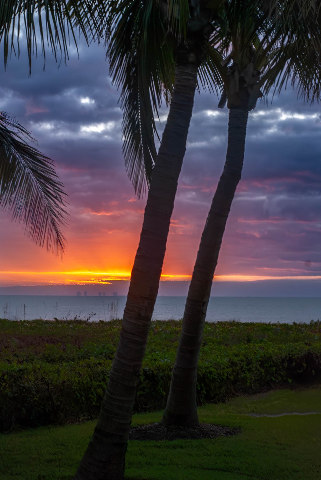 The wonder of new tools in&nbsp;Photography