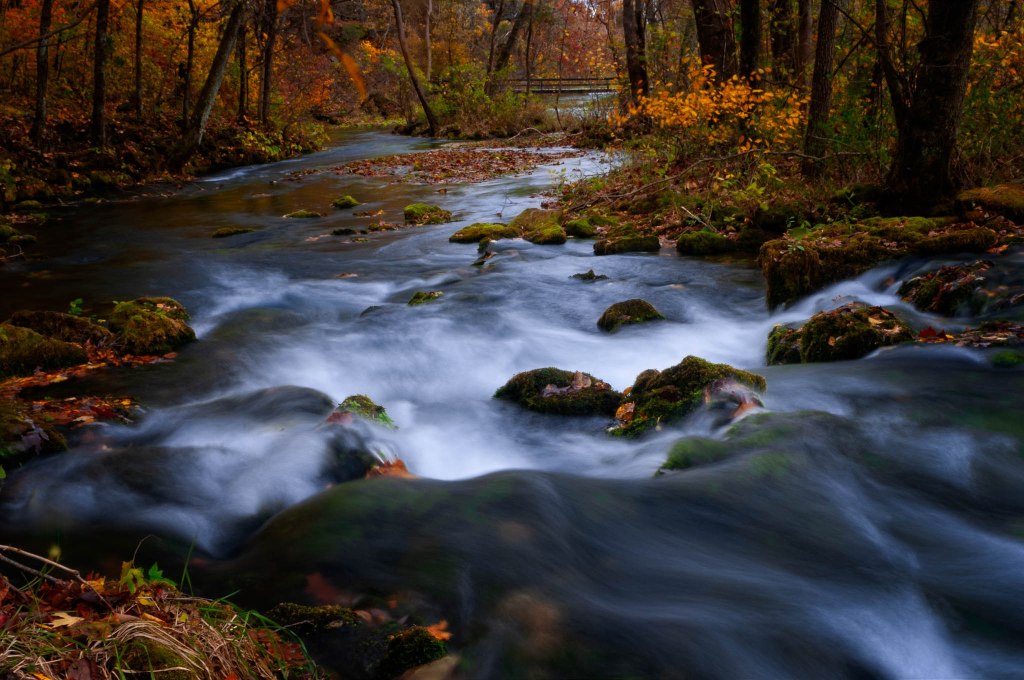 What is your best&nbsp;photograph?