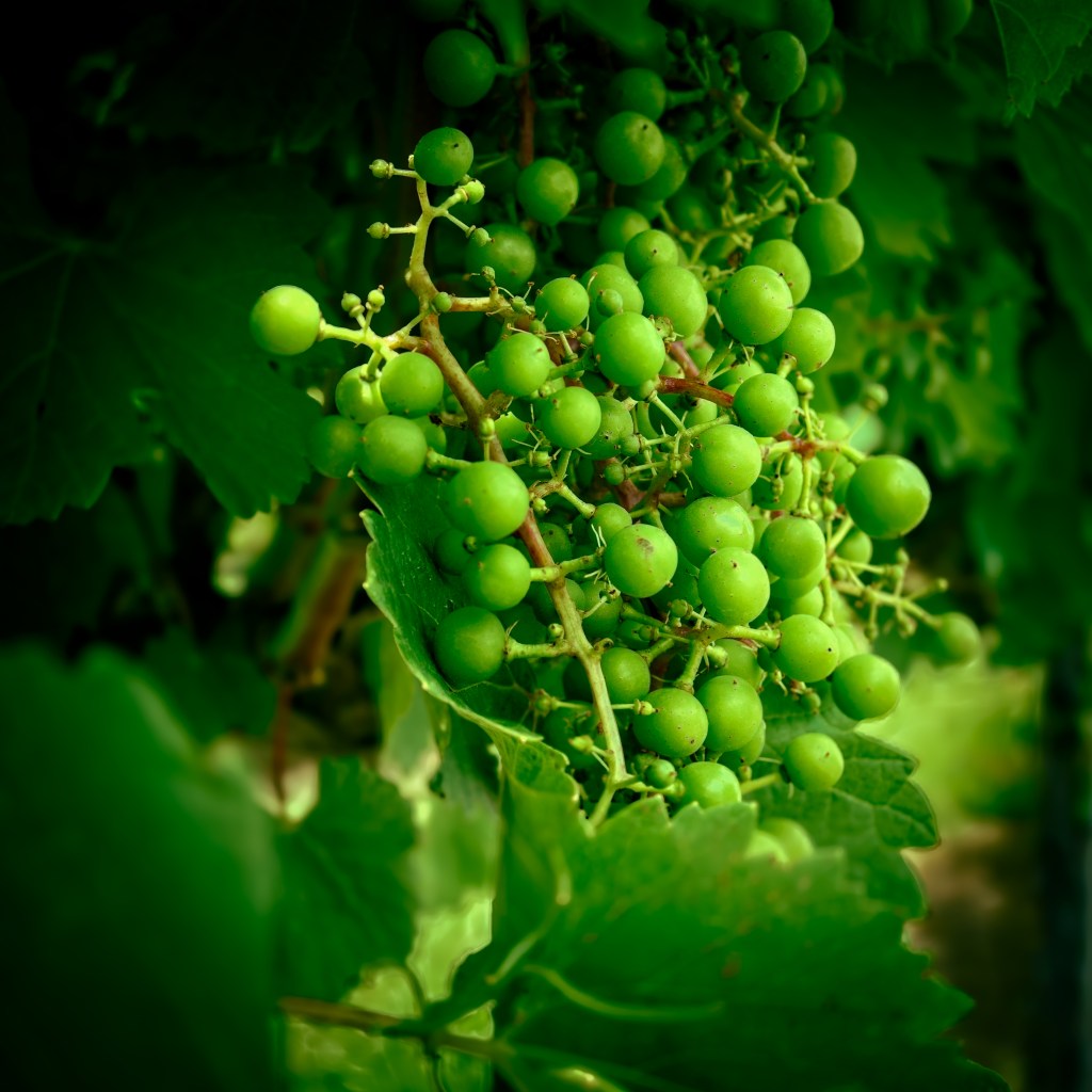 Photography is about vision. It’s an inspiration to see the world through your own unique&nbsp;perspective.