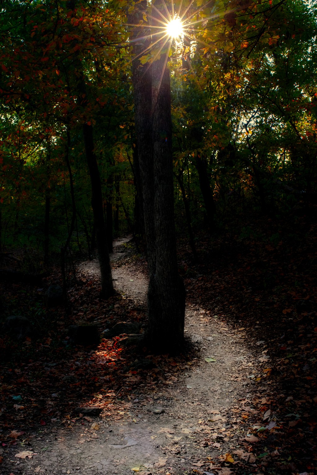 Photography isn’t about reality for me, it’s about&nbsp;creativity.