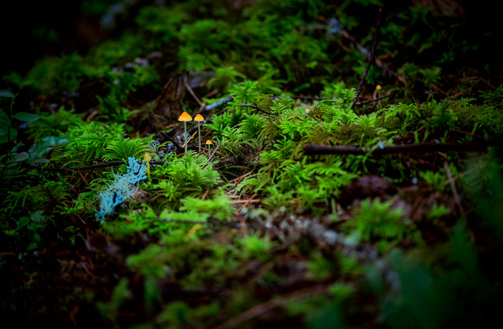 Look for the small&nbsp;things