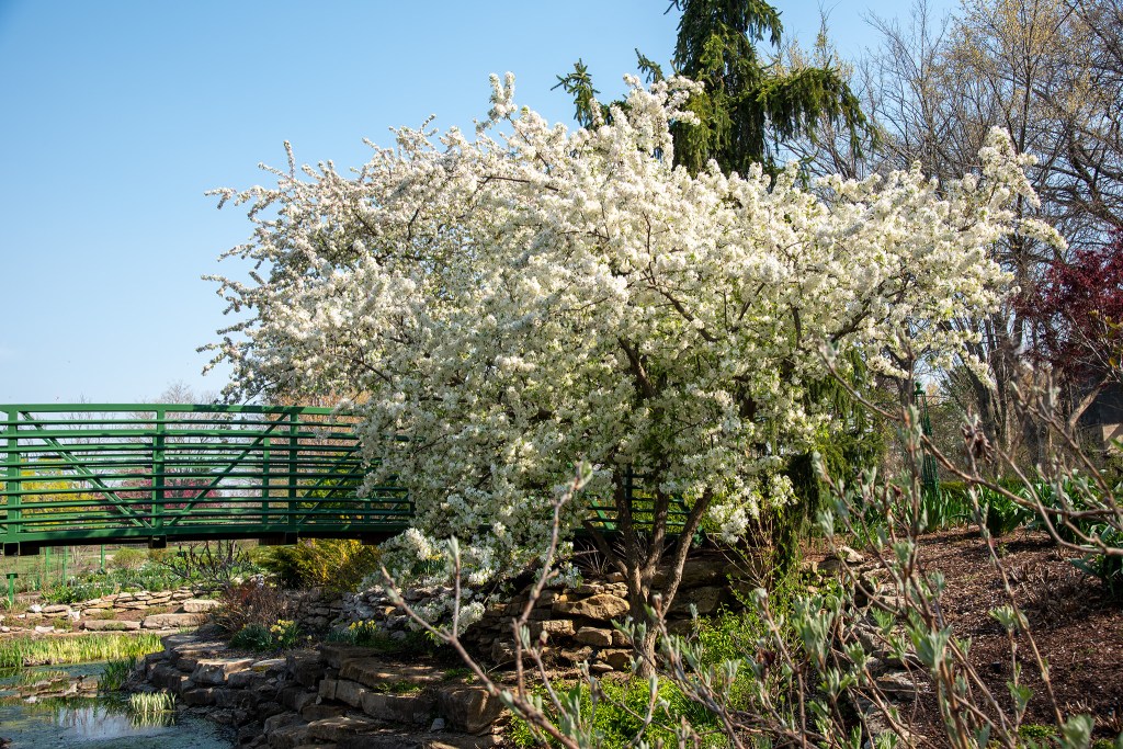 Artificial Intelligence and generative fill tools are not&nbsp;evil