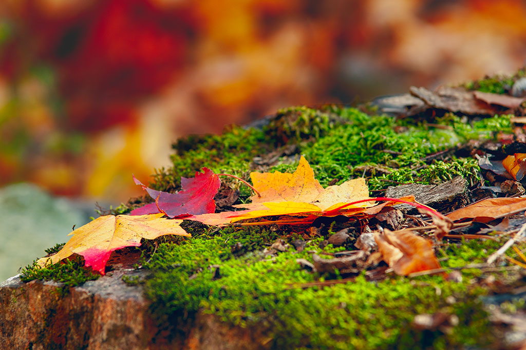 Artistic education for&nbsp;photographers