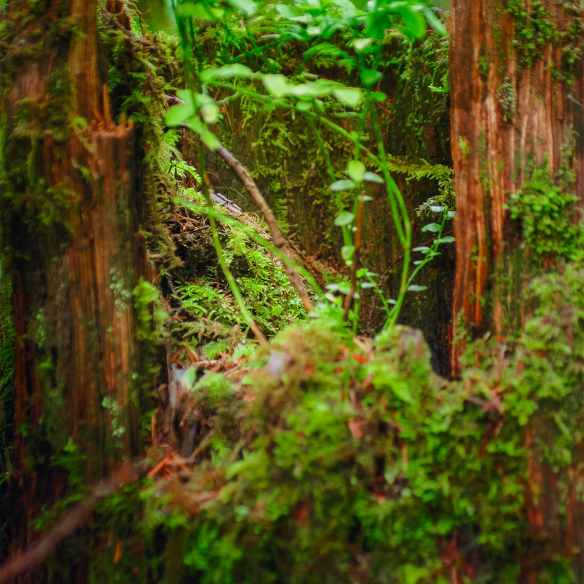 From the old comes the&nbsp;new