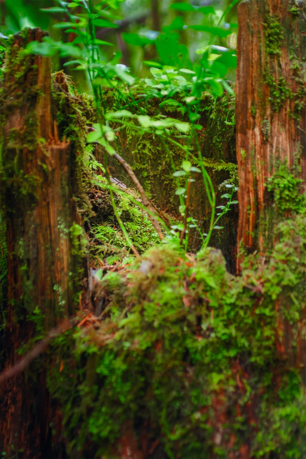 From the old comes the&nbsp;new