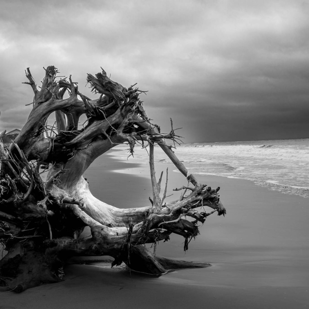 Gear Doesn’t Make&nbsp;Photographs