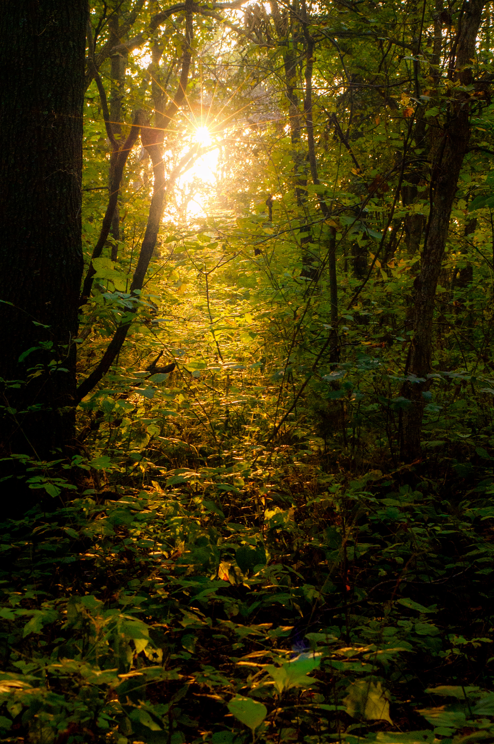 Every Photographer Sees a Different Landscape